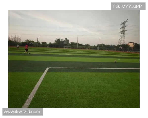 谷子：足球之光闪耀绿茵场